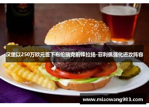 汉堡以250万欧元签下布伦瑞克前锋拉扬-菲利佩强化进攻阵容